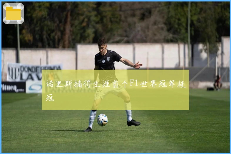 诺里斯摘得生涯首个F1世界冠军桂冠